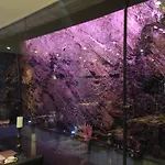 Restaurant Le Cosy 3* Бульон