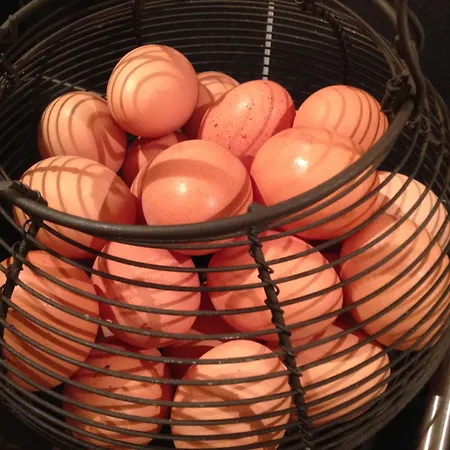 Restaurant Le Cosy Bouillon