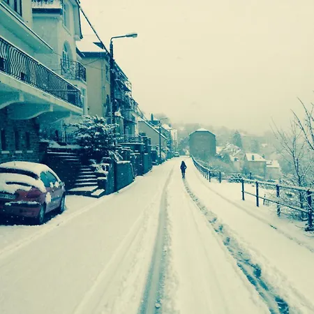 Restaurant Le Cosy Bouillon