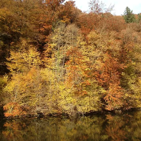 Restaurant Le Cosy Hotel 3*